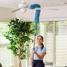 Expandable Fan Duster – Flexible Microfiber Cleaning Brush